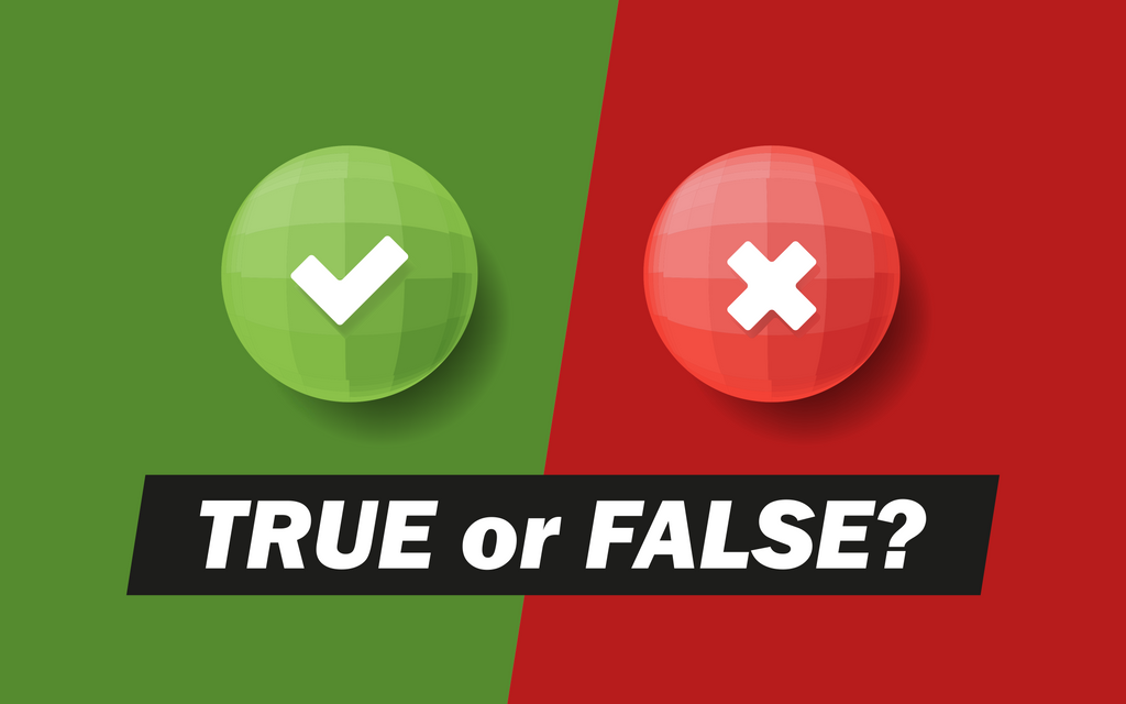 Test Your Bear Knowledge With This Fun Quiz!