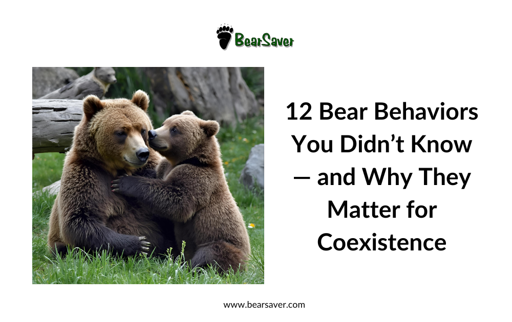 12 Bear Behaviors You Didn’t Know — and Why They Matter for Coexistence