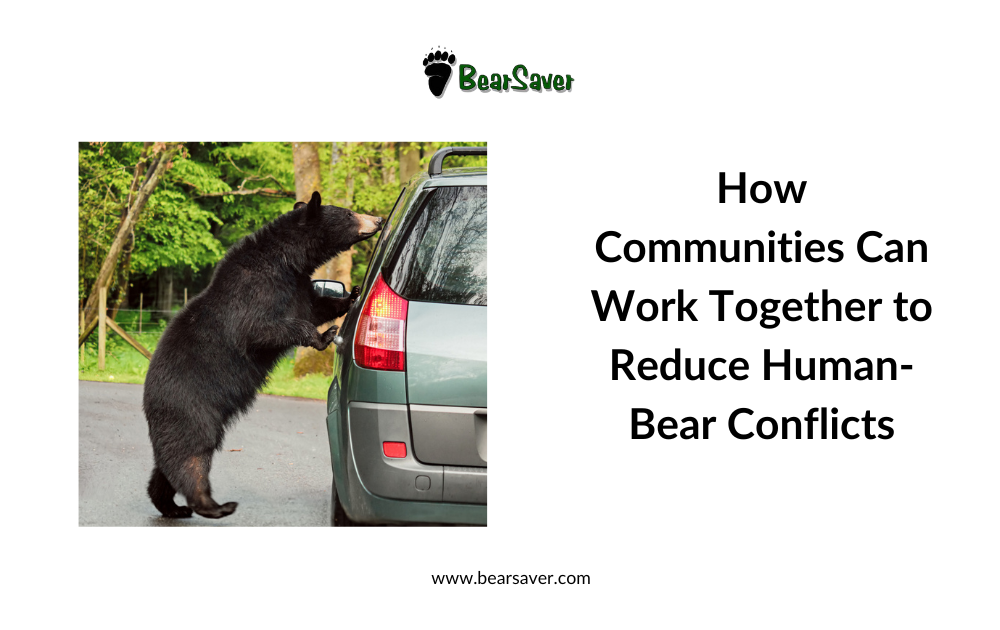 How Communities Can Work Together to Reduce Human-Bear Conflicts