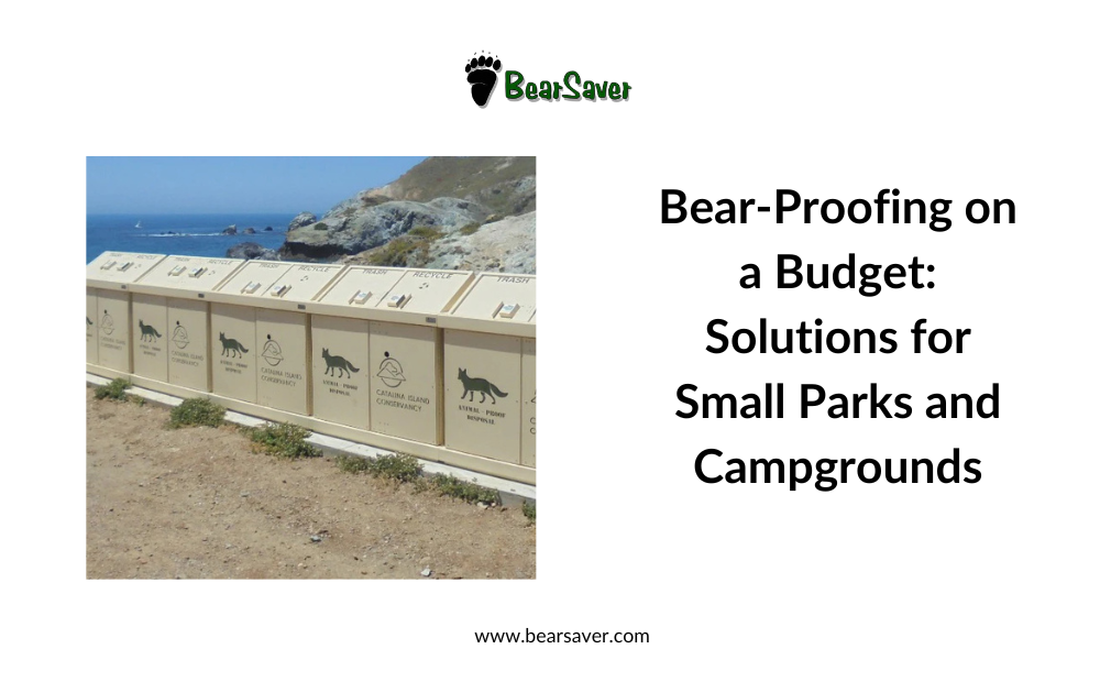 Bear-Proofing on a Budget: Solutions for Small Parks and Campgrounds