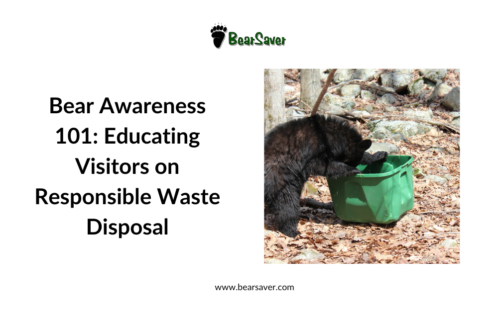 Bear Awareness 101: Educating Visitors on Responsible Waste Disposal