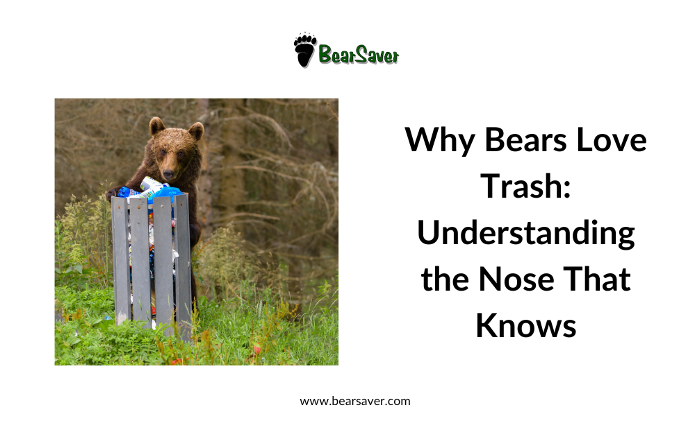 Why Bears Love Trash: Understanding the Nose That Knows
