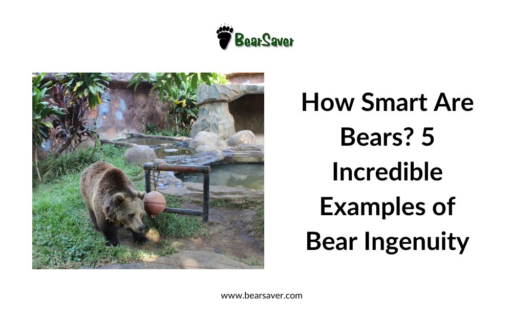 How Smart Are Bears? 5 Incredible Examples of Bear Ingenuity (and How to Outsmart Them)