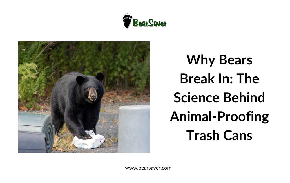 Why Bears Break In: The Science Behind Animal-Proofing Trash Cans