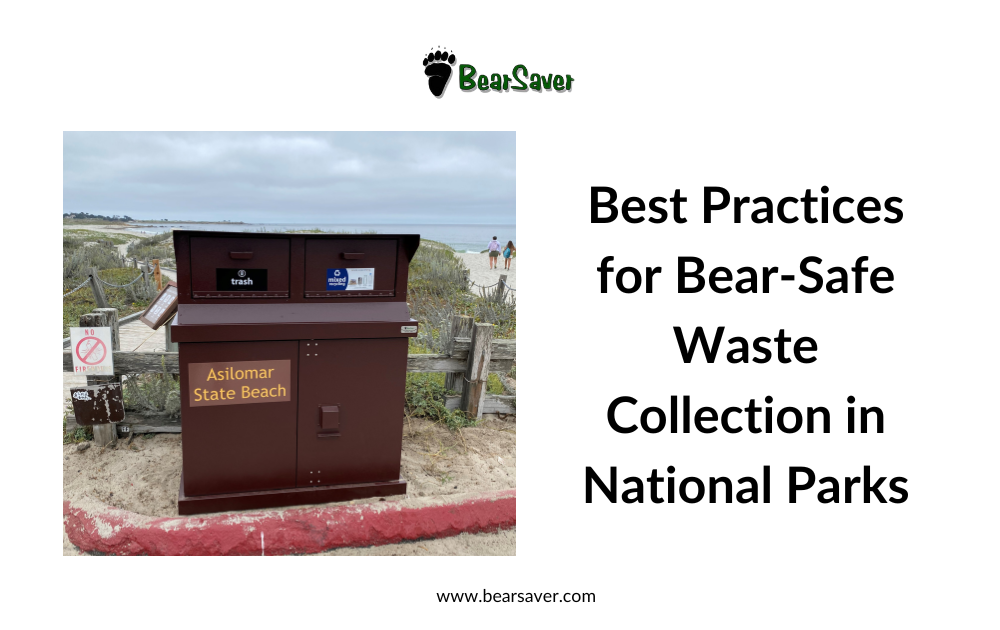 Best Practices for Bear-Safe Waste Collection in National Parks