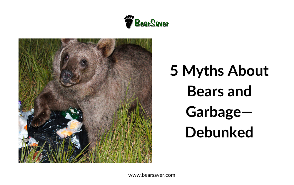 5 Myths About Bears and Garbage—Debunked
