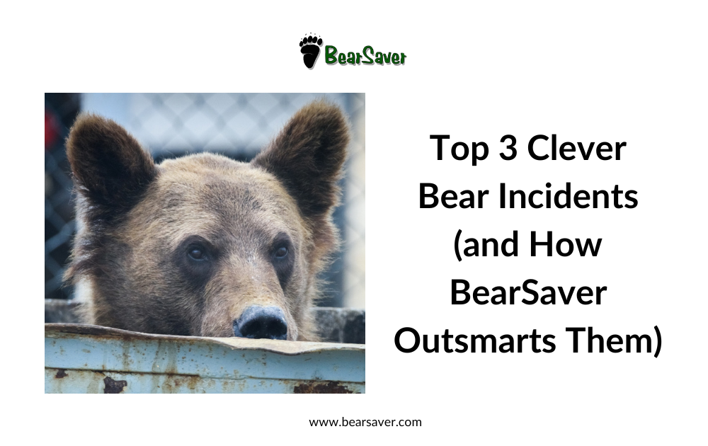Top 3 Clever Bear Incidents (and How BearSaver Outsmarts Them)