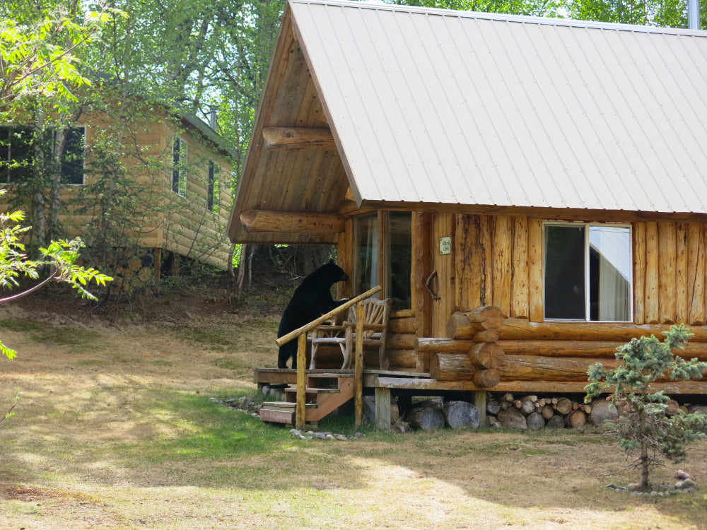 The Business Case for Bear-Proof Bins in Tourism and Hospitality