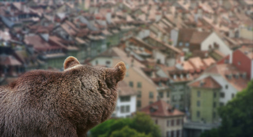 5 Signs Your Community Needs BearSaver Trash Cans
