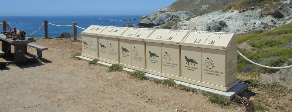 5 Surprising Ways Animal-Proof Trash Cans Benefit Communities