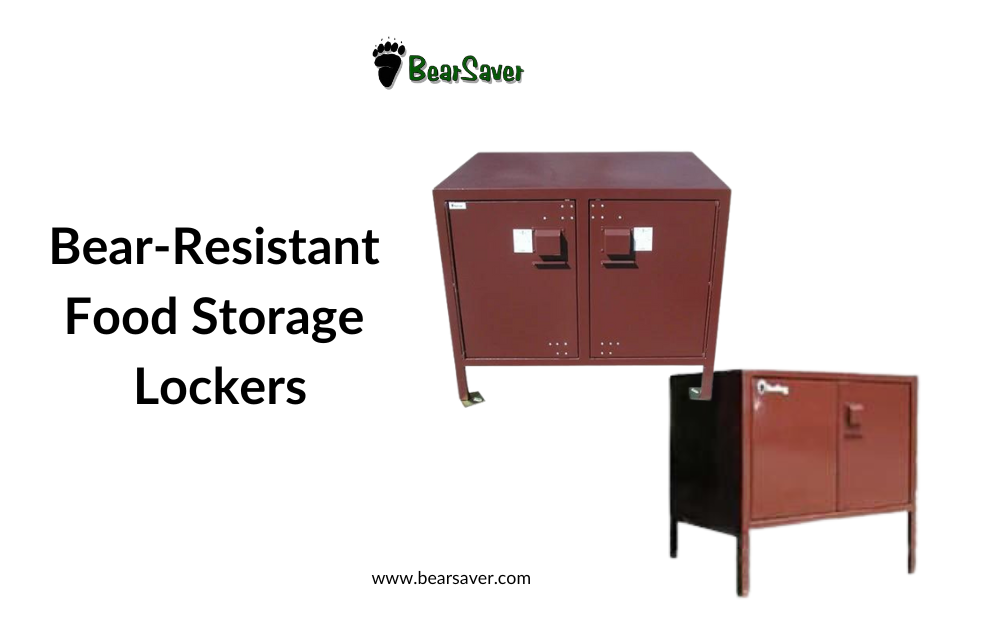 Secure Your Campsite: A Guide to BearSaver’s Bear-Resistant Food Storage Lockers