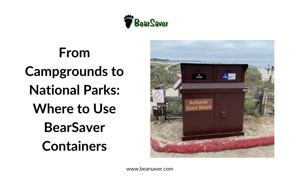 From Campgrounds to National Parks: Where to Use BearSaver Containers