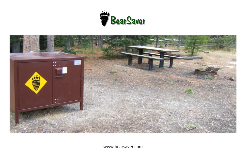 Customizable Solutions: How BearSaver Adapts to Different Community Needs