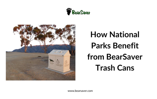 How National Parks Benefit from BearSaver Trash Cans