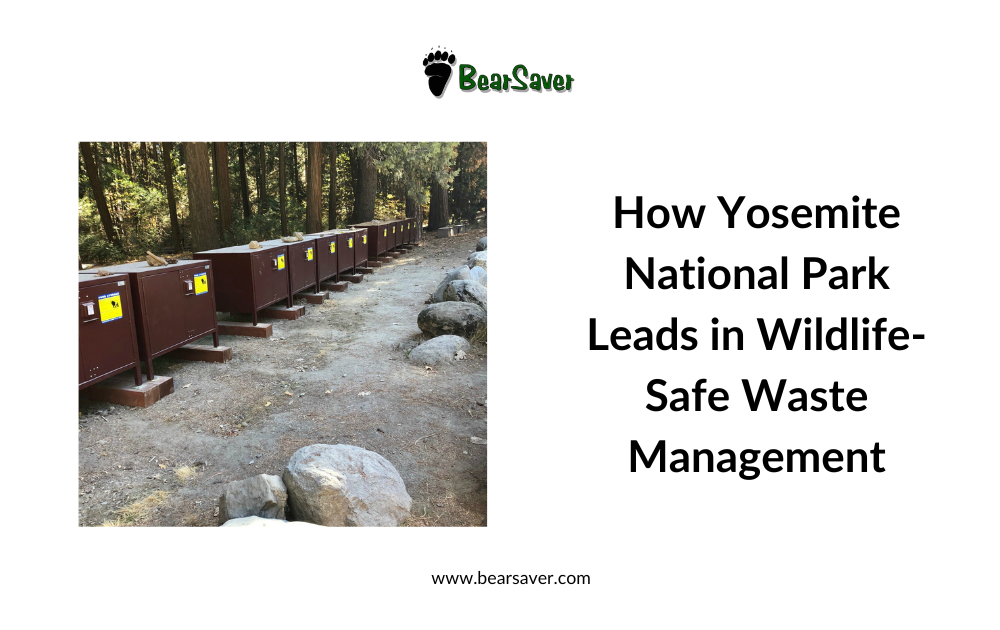 How Yosemite National Park Leads in Wildlife-Safe Waste Management