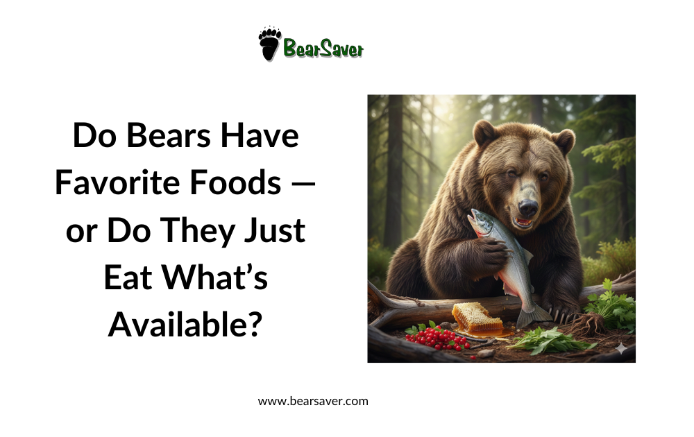 Do Bears Have Favorite Foods — or Do They Just Eat What’s Available?