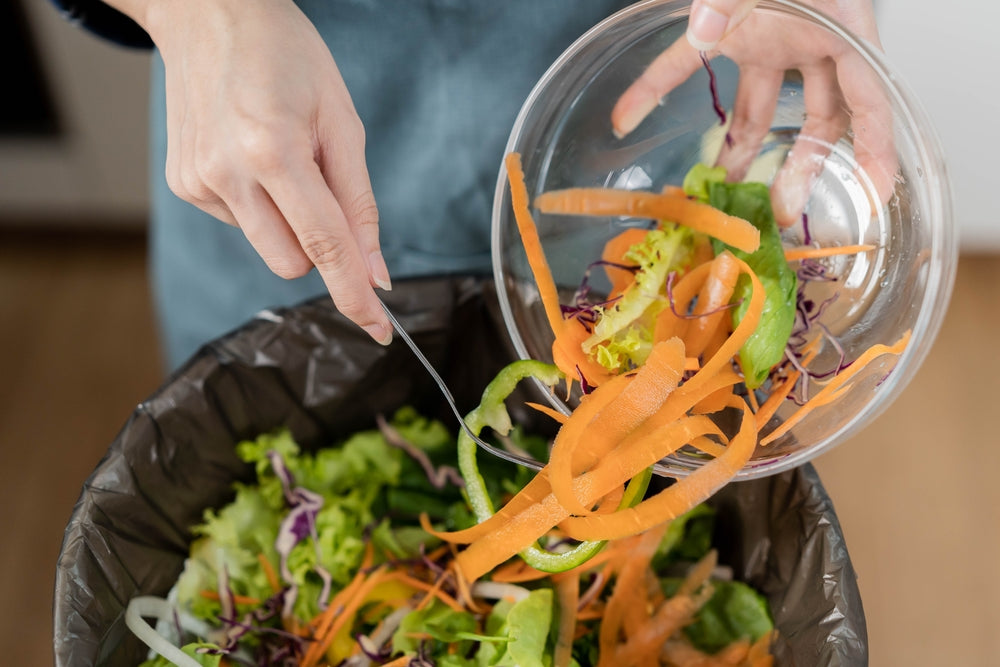 Ensuring Bear Safety Through Bear-resistant Food Lockers And Waste Management