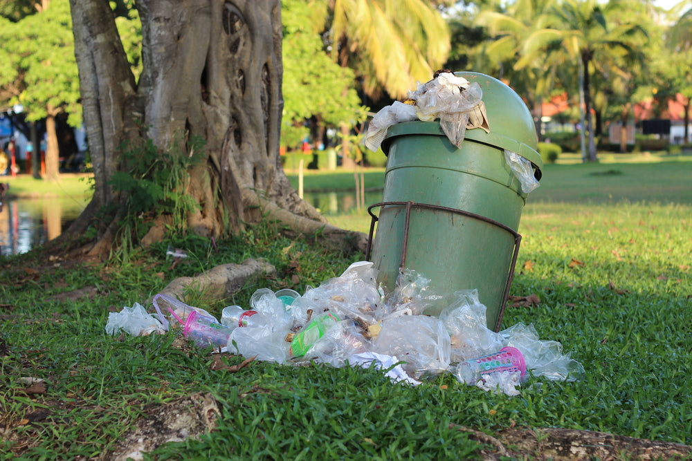 Tackling The Serious Issue Of Park Waste